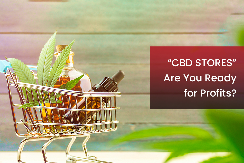 CBD Stores – Are You Ready for Profits?